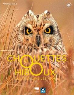 Hors-Séries 242 ODE AUX PRÉCIEUX RAPACES