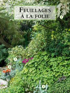 Hors-Séries 244 À l'ombre d'un érable