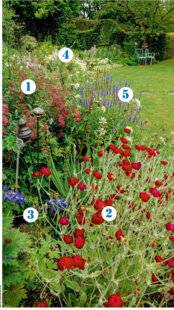 Hors-Séries 244 Un air de jardin de grand-mère