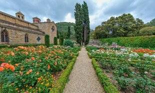 Hors-Séries 246 L'ABBAYE DE FONTFROIDE