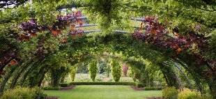 Hors-Séries 246 LES JARDINS DE SÉRICOURT