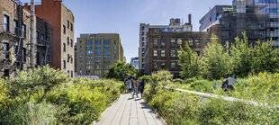 Hors-Séries 247 COPIER LA NATURE