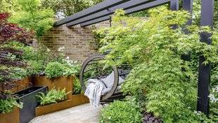 Hors-Séries 247 CAS N°3 : UNE COUR OMBRAGÉE