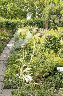 Hors-Séries 247 CAS N°4 : UN JARDIN SOUMIS AUX VENTS