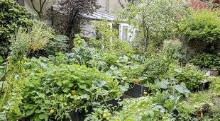 Hors-Séries 247 LE JARDIN POLYVALENT