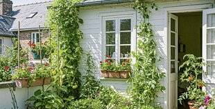 Hors-Séries 247 CAS N°1 : UN JARDIN GOURMAND EN POTS