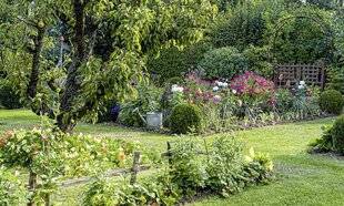 Hors-Séries 247 CAS N°2 : UN JARDIN DE CUEILLETTES