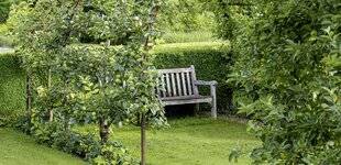 Hors-Séries 247 CAS N°3 : UN VERGER DANS UN MOUCHOIR DE POCHE