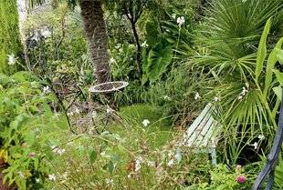 Hors-Séries 247 RÉORGANISER UN JARDIN