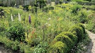 Hors-Séries 247 CLORE SON JARDIN, POURQUOI FAIRE ?