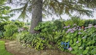 Hors-Séries 247 PLAIDOYER POUR LA HAIE