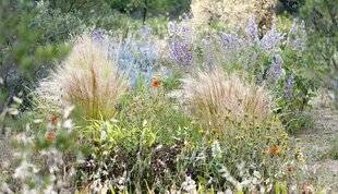 Hors-Séries 247 CAS N°2 : UN JARDIN SEC