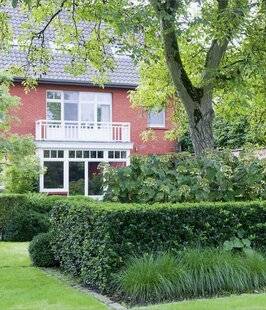 Hors-Séries 247 CAS N°3 : DES ARBRES POUR CLIMATISER LA MAISON