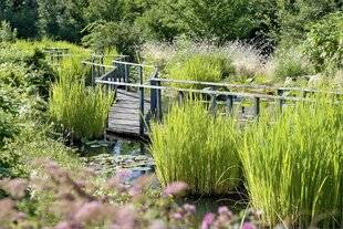 Hors-Séries 247 CAS N°6 : UN JARDIN EN BORD DE RIVIÈRE