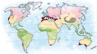 Hors-Séries 248 LES CARACTÉRISTIQUES