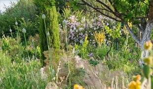 Hors-Séries 248 AU RÉGIME SEC ET À L'EAU