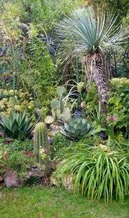 Hors-Séries 248 PLANTONS LE DÉCOR