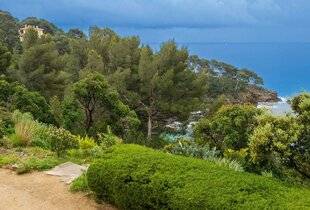 Hors-Séries 248 Les vivaces de bord de mer