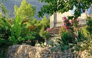 Hors-Séries 248 Des trésors méconnus