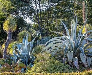 Hors-Séries 248 Ambiance mexicaine