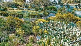 Hors-Séries 248 Des beautés de l'hémisphère sud