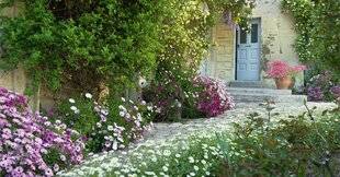 Hors-Séries 248 Votre jardin fleuri pendant des mois