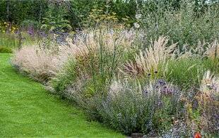 Hors-Séries 249 COMMENT ANTICIPER LES PROCHAINES RESTRICTIONS D'EAU ?