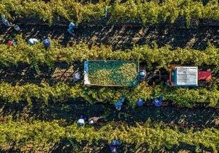 Hors-Séries 249 Le jardin, laboratoire d'adaptation