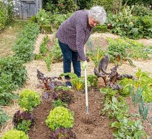 Hors-Séries 249 Bien arroser : les bons réflexes