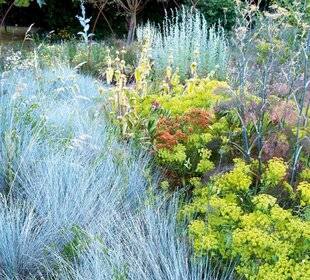 Hors-Séries 249 Les plantes les mieux adaptées