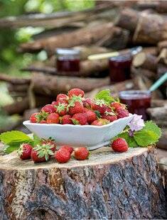 Hors-Séries 249 La fraise,reine de Bretagne