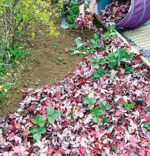 Hors-Séries 249 Nos conseils de culture