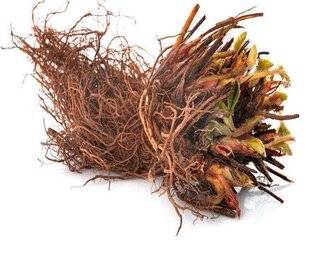 Hors-Séries 249 Réponsesd'experts