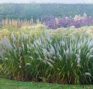 Hors-Séries 249 BONNES À TOUT FAIRE