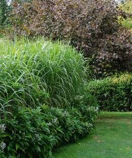 Hors-Séries 249 Cacher, séparer, isoler