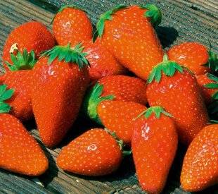 Hors-Séries 249 Les variétés non remontantes