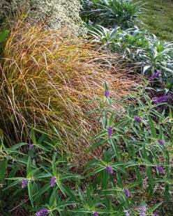 Hors-Séries 249 Embraser l'automne