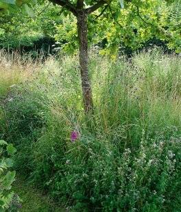 Hors-Séries 249 Insuffler une dose de nature