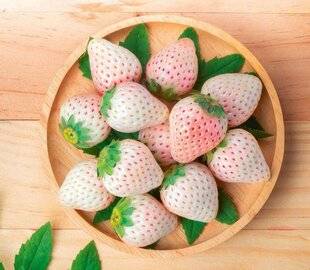 Hors-Séries 249 Petites histoires de fraises