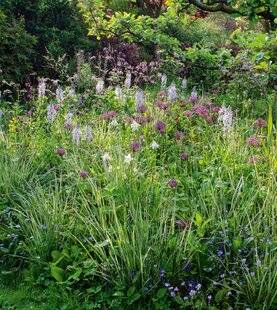 Hors-Séries 249 Valoriser les fleurs