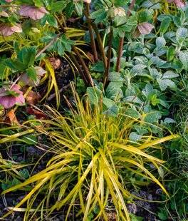 Hors-Séries 249 Réchauffer l'hiver