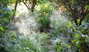 Hors-Séries 249 Alléger les compositions