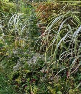 Hors-Séries 249 Bleu, blanc, rouge