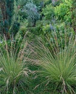 Hors-Séries 249 Ponctuer, borner, rythmer, tuteurer