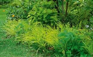 Hors-Séries 249 Des bordures souples