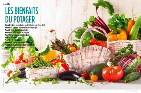 Hors-Séries 250 LES BIENFAITS DU POTAGER