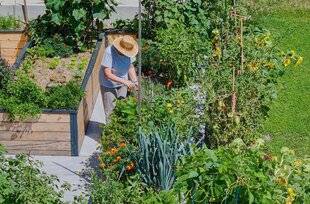 Hors-Séries 250 Votre sol, c'est votre santé !