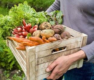 Hors-Séries 250 8 bonnes raisons de cultiver son potager