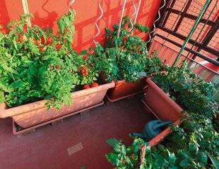 Hors-Séries 250 Se régaler même en ville