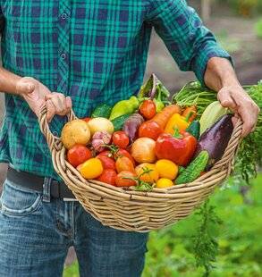 Hors-Séries 250 DES LÉGUMES TOUTE L'ANNÉE POUR 4 PERSONNES